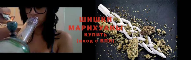 Бошки Шишки White Widow  наркотики  Мураши 